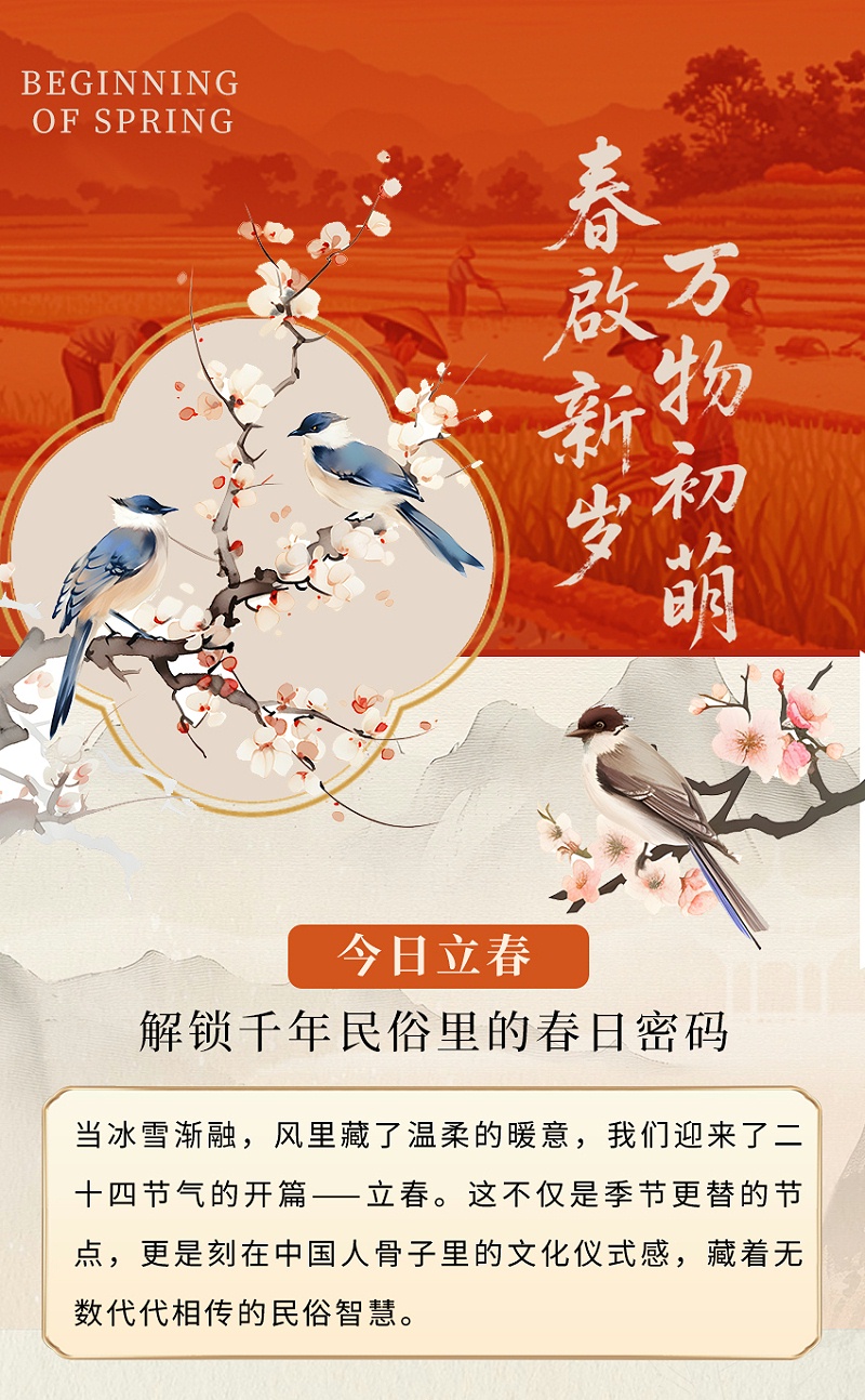 大气立春节气活动习俗长图推文海报