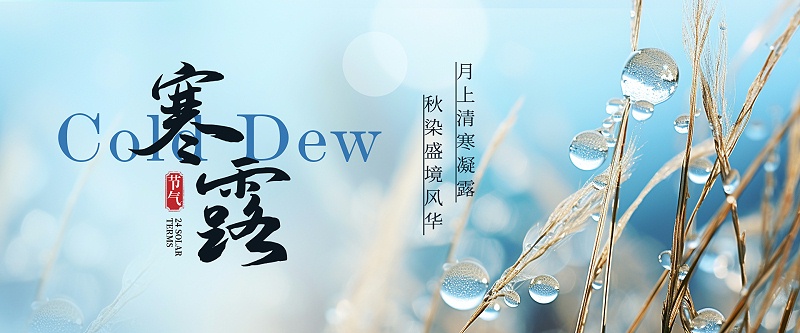 1 拷贝