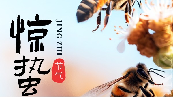 听春雷，谱新篇，开启2026新气象